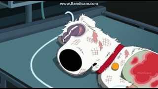 Family Guy  Season 12 Episode 3  Brians Death [upl. by Adelina]