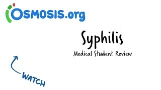 Syphilis  Clinical Presentation [upl. by Barbe489]