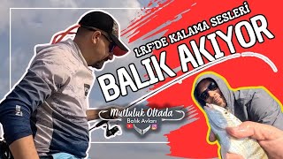 BALIK AKIYOR LRFde Kalama Sesleri [upl. by Kort]