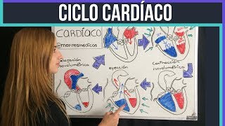 CICLO CARDÍACO ¡fácil explicación  Mentes Médicas [upl. by Gerrard]