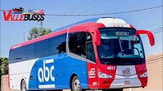 Autotransportes de la Baja California  Grupo Tres Estrellas de Oro [upl. by Ynove]