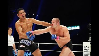 FEDOR EMELIANENKO  PRIDE HIGHLIGHTS [upl. by Eyks]