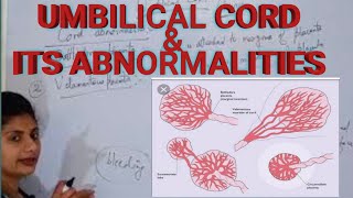 Umbilical Cord  Umbilical Cord Abnormalities [upl. by Neggem]