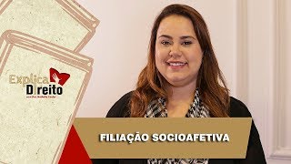 Explica Direito Filiação Socioafetiva  2019 [upl. by Eedyaj]