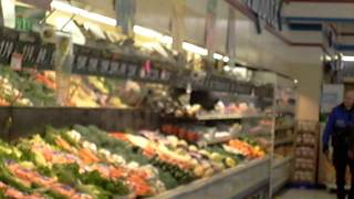 Bear cub in grocery store Ketchikan Alaska [upl. by Ahsenak]