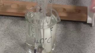 Enzyme Rate of Reaction Trypsin [upl. by Assecnirp]