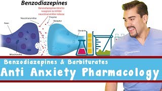 Anti Anxiety Pharmacology Benzodiazepines and Barbiturates [upl. by Mcguire]