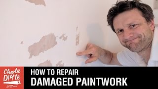 How to Repair Damaged Paintwork [upl. by Hartzell]