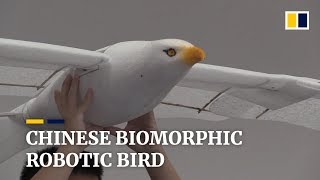 Chinese biomorphic robotic bird [upl. by Sherj569]