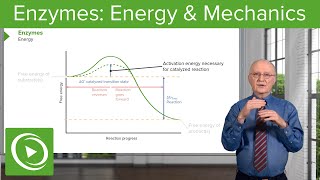 Enzymes Activation Energy amp Mechanics – Biochemistry  Lecturio [upl. by Yssenhguahs]