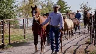 The Dude Ranches of the American West [upl. by Tannenwald129]