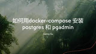 如何用docker安装postgres和pgadmin [upl. by Hanoj]