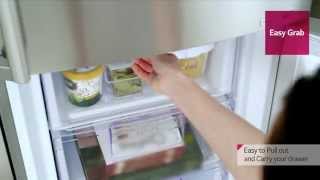 LG Bottom Freezer Refrigerator [upl. by Ididn918]