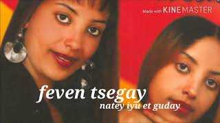 Eritrean music old 2013 Feven Tsegay natey iyu et gudayናተይ ኢዩ እቲ ጉዳይ [upl. by Sup]