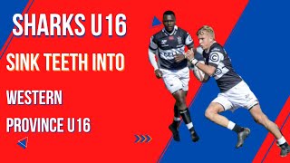 Sharks U16 Produce a Stunner to Beat Western Province U16 [upl. by Airt]