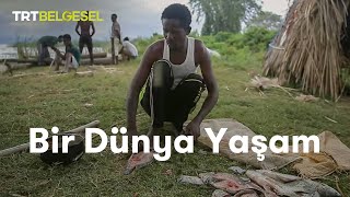 Bir Dünya Yaşam  Afrikada Balıkçılık  TRT Belgesel [upl. by Adnuhsor]