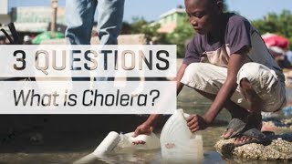 What is Cholera [upl. by Ahsenid632]