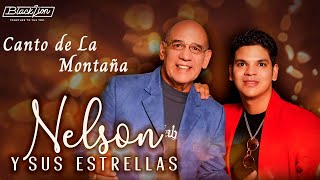 Nelsonysusestrellas  Canto de La Montaña Audio Oficial [upl. by Reilly]