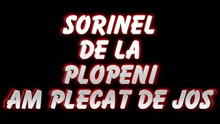 SORINEL DE LA PLOPENI AM PLECAT DE JOS 2014 [upl. by Nivrag742]