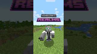 ¿Qué es MINECRAFT REALMS [upl. by Eussoj23]