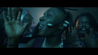 Dangbana Republik amp Bella Shmurda  Party Next Door Official Video [upl. by Nnor]