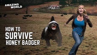 How To Survive A Honey Badger Attack [upl. by Guido422]