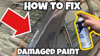 The CHEAPEST Way to Permanently Fix Peeling Paint [upl. by Norabel]