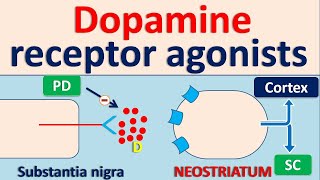 Domperidone and Pantoprazole Tablet and Capsule  Drug Information [upl. by Gelasius328]