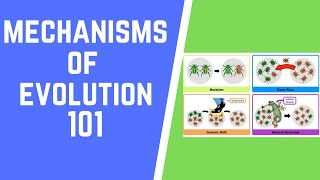 Mechanisms of Evolution 101 [upl. by Snowman]