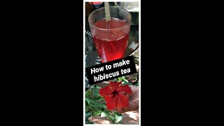 Hibiscus Tea🌺☕🍵 [upl. by Kera]