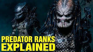 PREDATOR RANK SYSTEM EXPLAINED  YAUTJA SOCIETY AND HIERARCHY [upl. by Pollack]