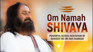 Powerful Om Namah Shivaya Chanting Meditation By Gurudev Sri Sri Ravi Shankar  Lord Shiva Mantra [upl. by Oecam]