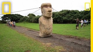 Scientists Make Easter Island Statue Walk  National Geographic [upl. by Lynus143]