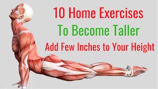 10 Home Exercises to Become Taller in No Time [upl. by Lemrahs]