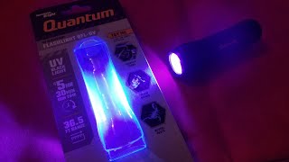 Harbor Freight Quantum UV Flashlight Review [upl. by Ahsain]