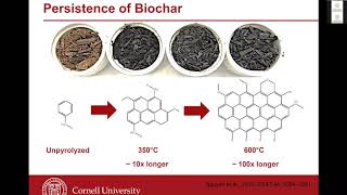 Biochar An ICRLP Explainer Video [upl. by Ayotal]