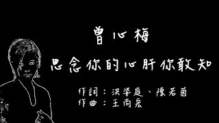 曾心梅  思念你的心肝你敢知【歌詞版】 [upl. by Ecinhoj972]