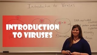 Introduction to Viruses [upl. by Koblas]