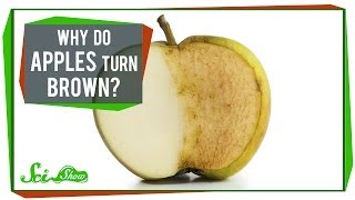 Why Do Apples Turn Brown [upl. by Notnel]