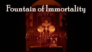 FOUNTAIN OF IMMORTALITY  Meditation on the Orthodox Divine Liturgy [upl. by Ayhtnic]