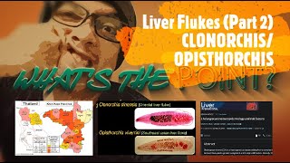 LIVER FLUKES Part 2 of 2  CLONORCHIS amp OPISTHORCHIS [upl. by Monaco]