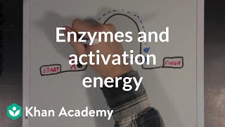 Enzymes and activation energy  Biomolecules  MCAT  Khan Academy [upl. by Lolande]