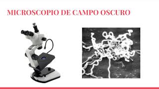 MICROSCOPIO DE CAMPO OSCURO [upl. by Olaznog]