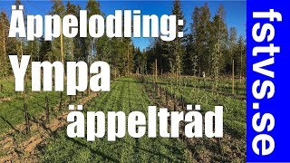 Ympa äppelträd [upl. by Nohtiek714]