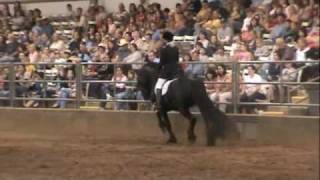 Friesian Stallion Frederik the Great Spectacular Dressage Performance [upl. by Nwavahs226]