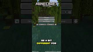 How To Join A Minecraft Server [upl. by Ecienaj203]