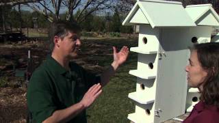 Purple Martin Houses [upl. by Akinohs]