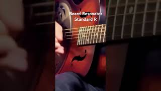 Beard Resonator  Slide Blues [upl. by Janice943]