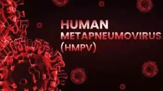 Human Metapneumovirus HMPV explained [upl. by Federica]