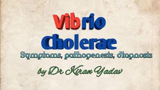 Microbiology lectureVibrio choleraeCholerasymptoms pathogenesisdiagnosisBacteriology [upl. by Nahum]